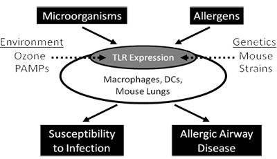 Overview of the Scientific Approaches in Project 3.