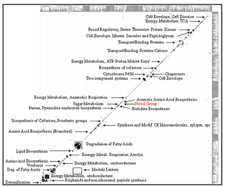 Figure 1b