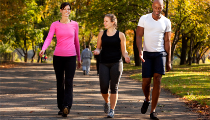 group of walkers