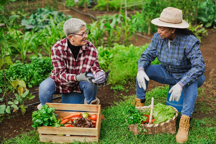 5 Common Colorado Allergens That Can Get in the Way of Gardening