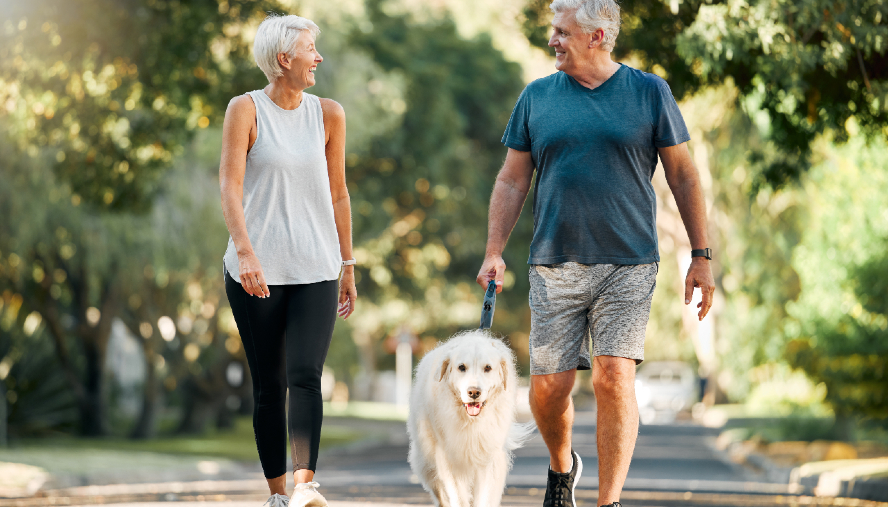 Two seniors walking their dog