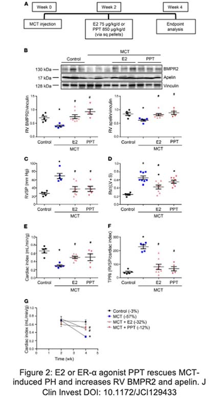 Testing results diagram