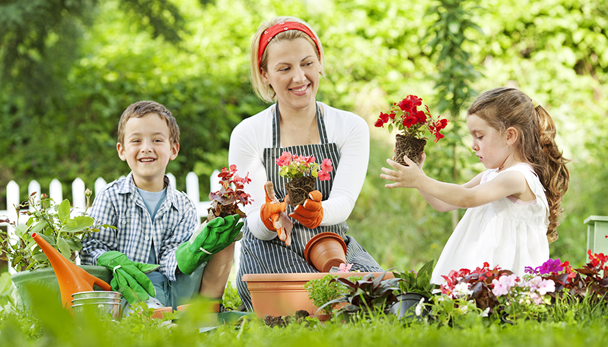 Grow something beautiful.