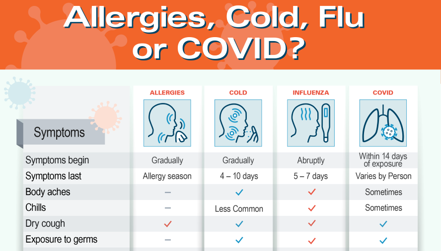 cold, flu, or covid-19? infographic