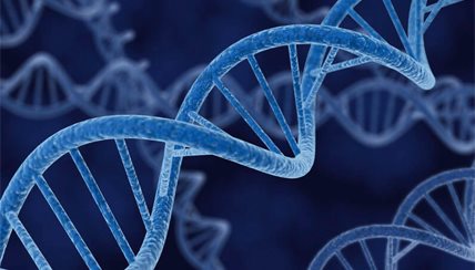 Advanced Diagnostics Testing
