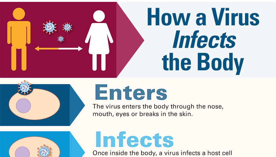 covid infographic